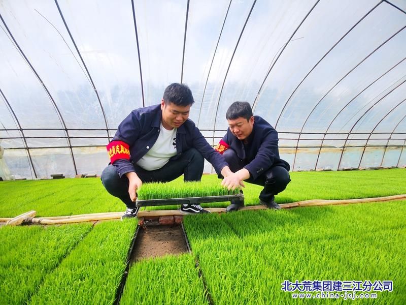 IMG_20230423_094110_副本.jpg