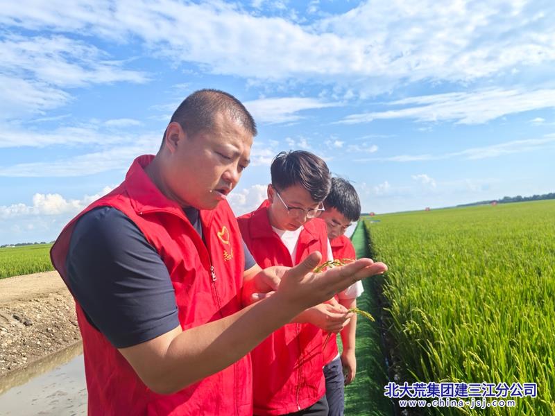 微信图片_20260810082905_1904_4.jpg 微信图片_20260810082905_1904_4.jpg