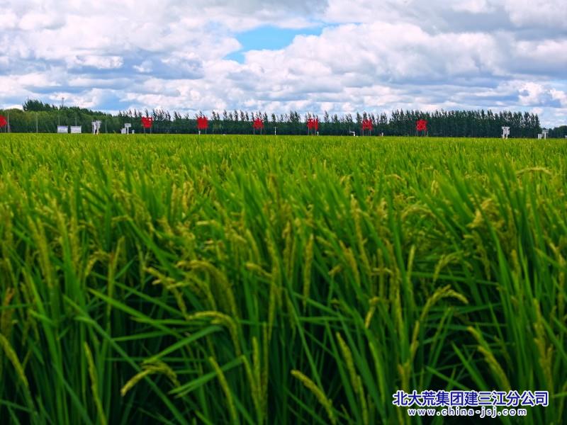 5bd41d1ac78ce2d8d8c3d43abb6ce5e_副本.jpg