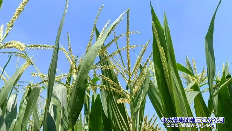 微信图片_20250814080940_副本.jpg