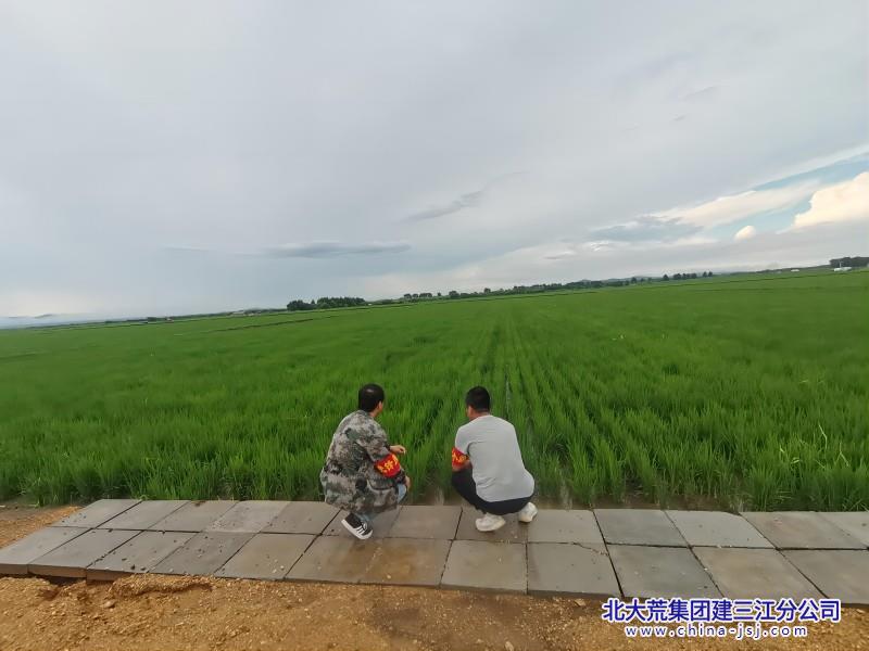夏管 (2)(1).jpg