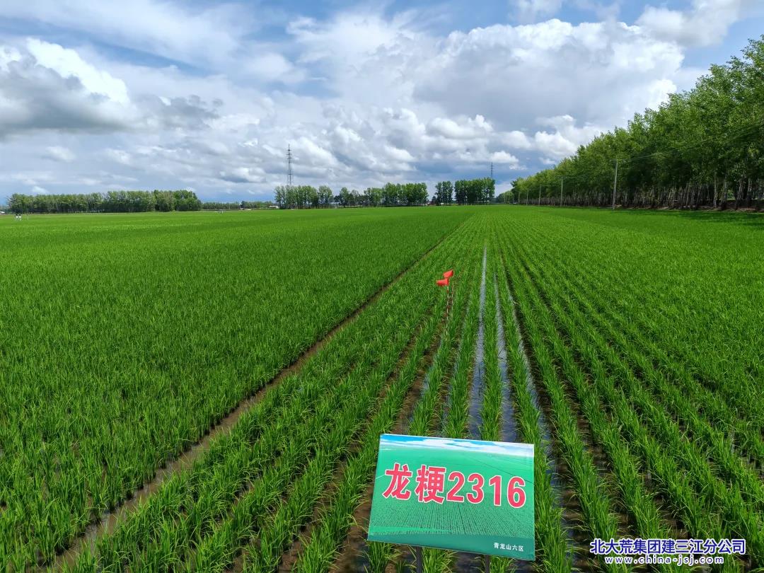 青龍山科技夏管 (2).jpg