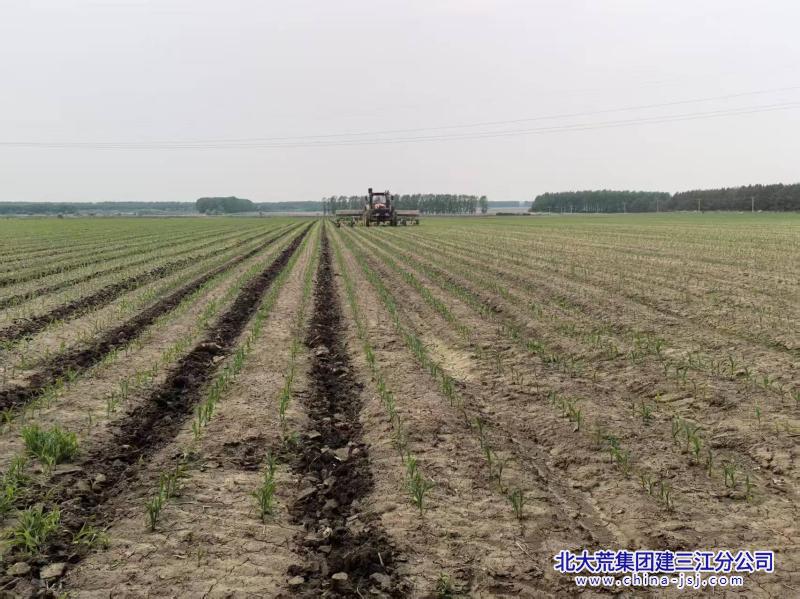 微信图片_20250619083711(1).jpg