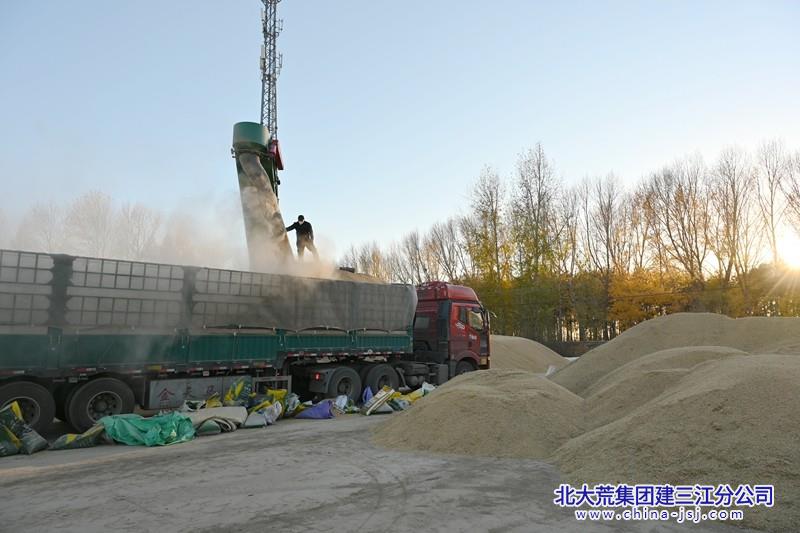 图为：前哨农场第七管理区粮食销售现场 刘杰摄.JPG