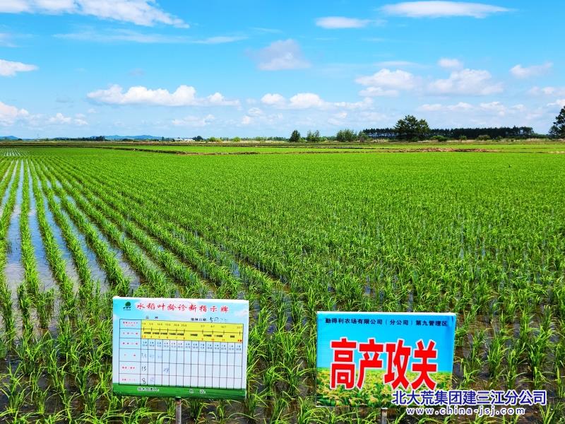 向新求強  勤得利田間夏管科技滿滿+歷建龍、鄒宇成+勤得利分公司 (4).jpg