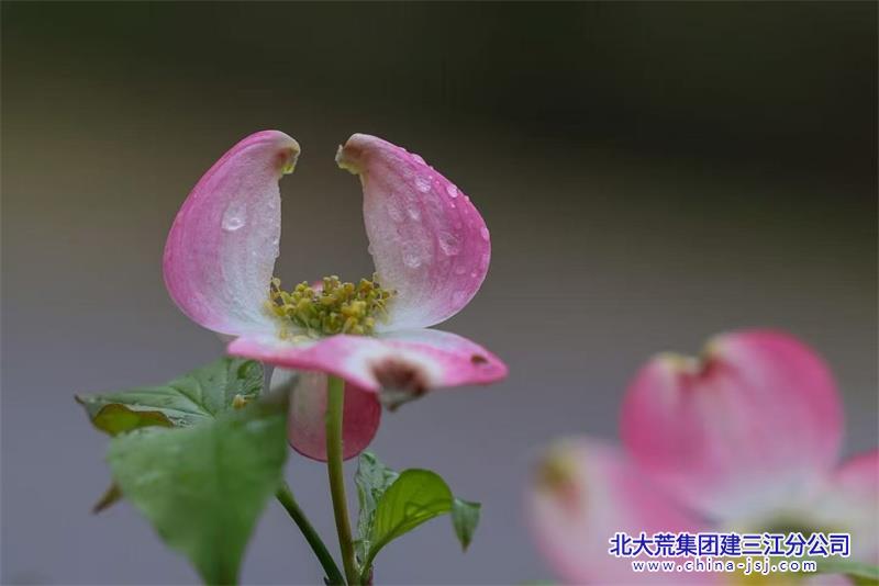 微信图片_20260506081905.jpg
