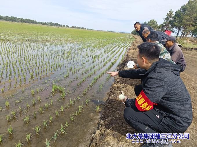 微信图片_20260611074132_230_116_副本.jpg 微信图片_20260611074132_230_116_副本.jpg