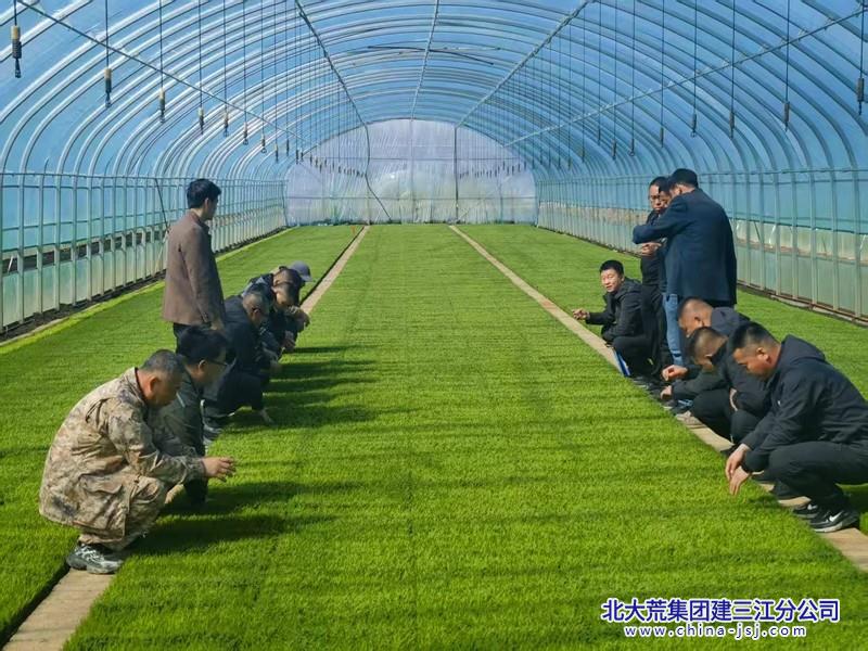 九区大棚.jpg