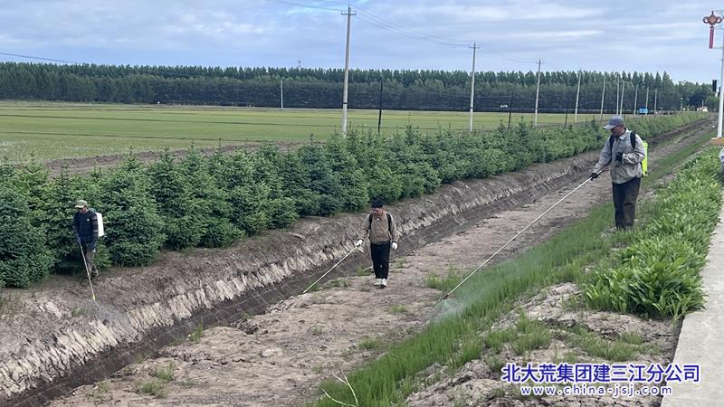 撿垃圾2.jpg