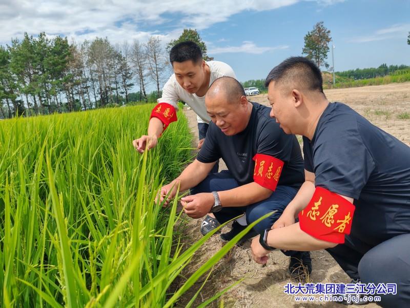 志愿者一线服务.jpg