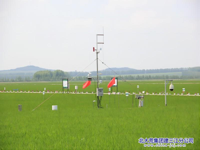 八五九气象监测田(1).jpg