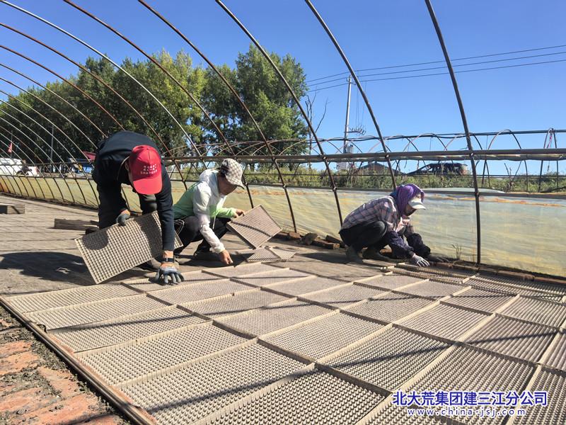 七星分公司迎着秋光赶农时  精准备耕为春田1  刘晓明  13945418826_副本.jpg