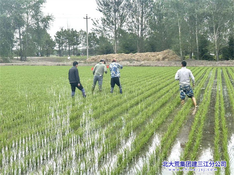 青龙山微信图片_202406111847051800+600.png
