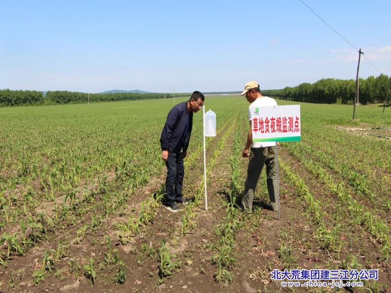 11黨小組監(jiān)測(cè)小氣候和病蟲害(2).jpg