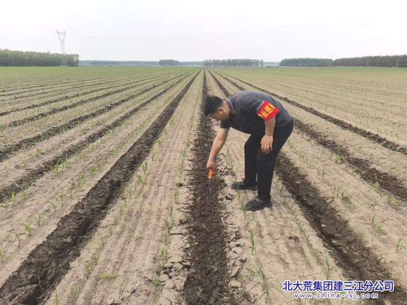 一区1_.jpg