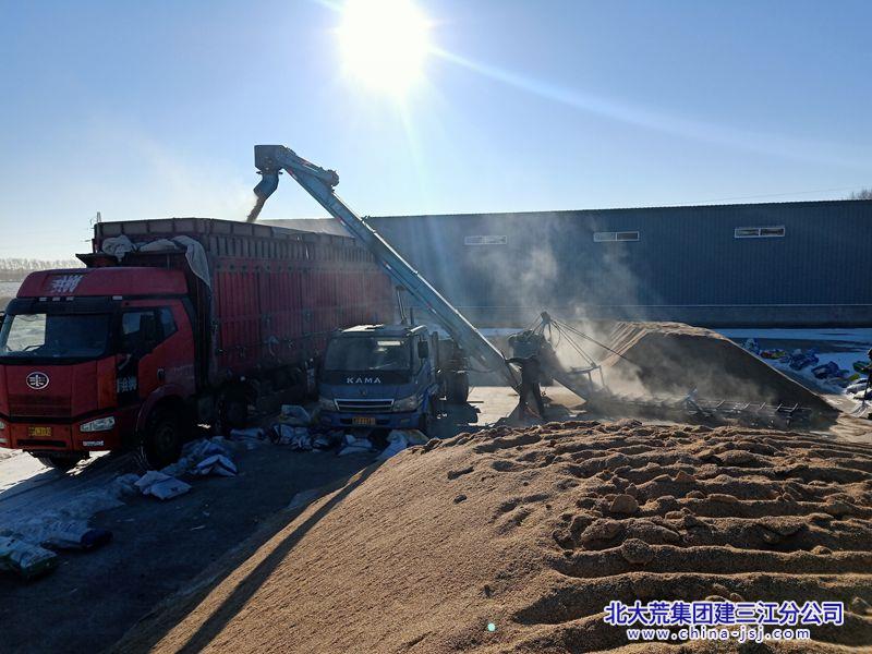 卖粮照片IMG20260126112713_副本800.jpg 卖粮照片IMG20260126112713_副本800.jpg