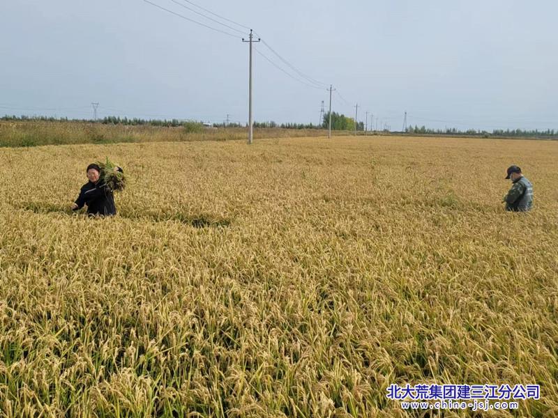 8f96c5af24637d1a17f9baf0367170d0_副本.jpg