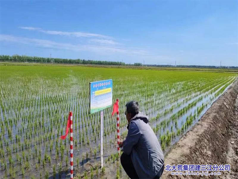 青龙山照片微信图片_202406061355262800+600.jpg