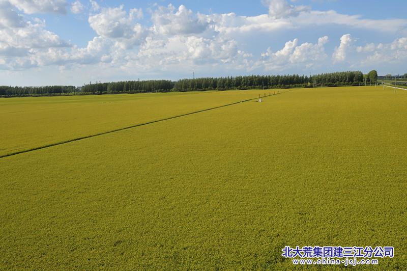 DSC_0212_副本.jpg