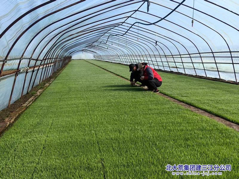 微信图片_2025-04-18_081254_333_副本.jpg