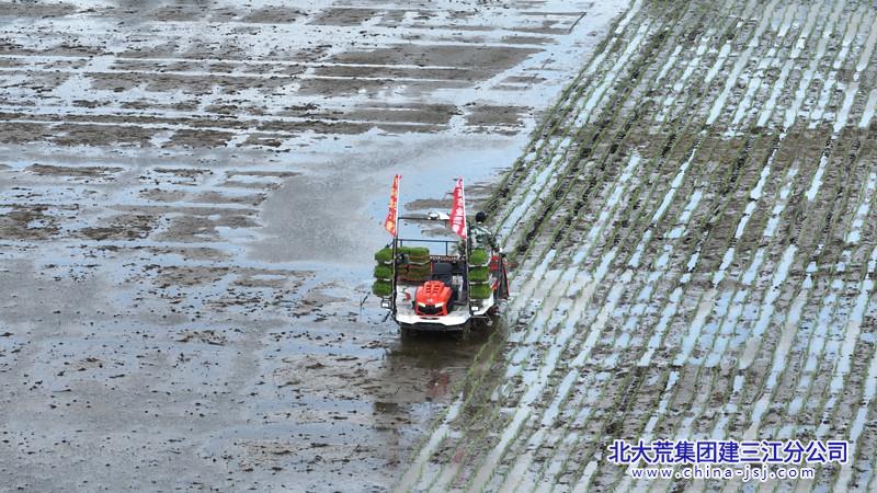 DJI_0737_.jpg
