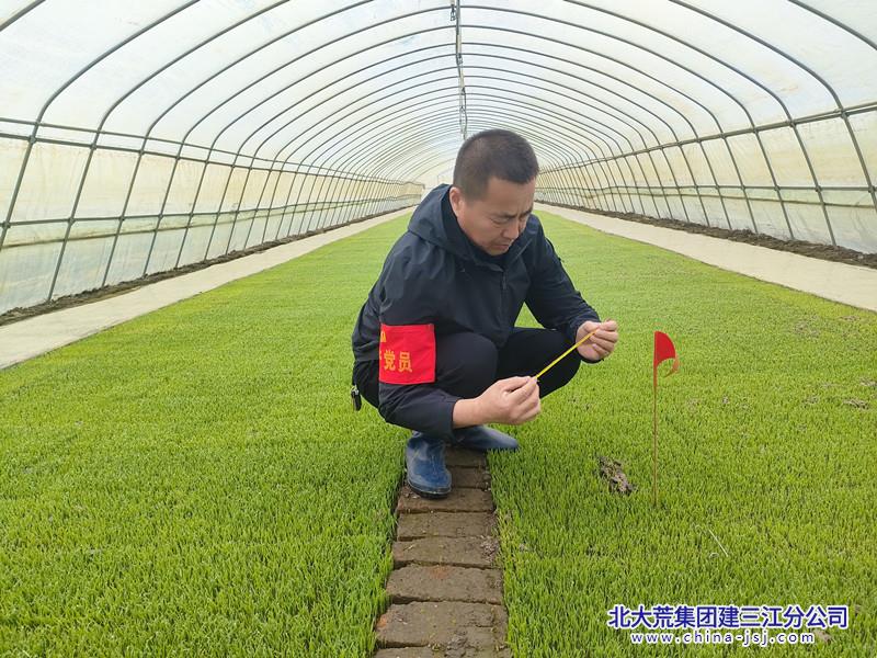 IMG20250415160903.jpg IMG20250415160903.jpg