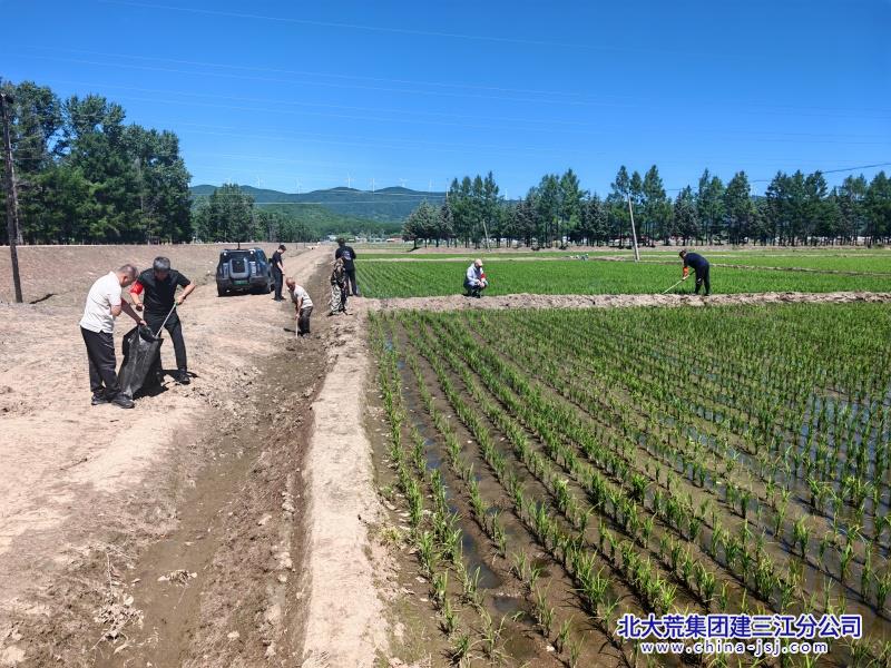 微信图片_20260613100506_176_650_副本.jpg