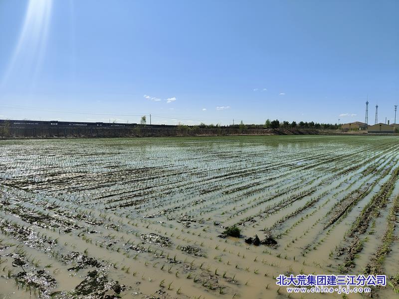 mmexport1715040857746_副本.jpg