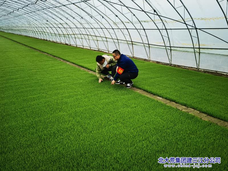 三江三区田管家1.jpg