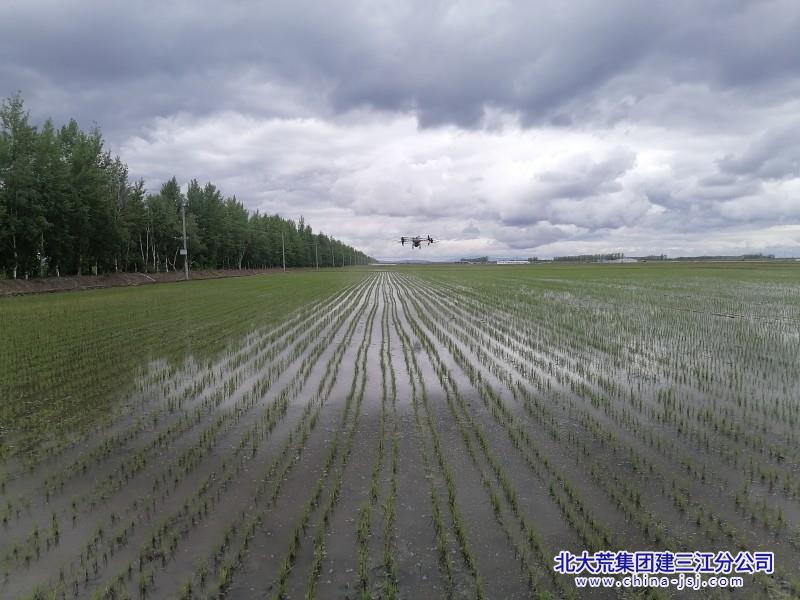 青龍山農(nóng)場(chǎng)有限公司 無(wú)人機(jī)“接手”田間噴藥“飛”進(jìn)智慧農(nóng)業(yè).jpg