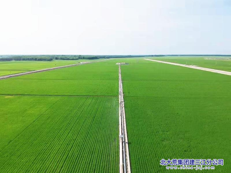 3.前进农场“1234”标准化格田改造地块_副本_副本.jpg
