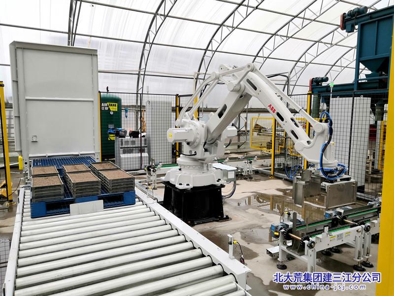 2、IRB460型智能疊盤機(jī)械手實(shí)現(xiàn)了自動(dòng)上土、上盤、覆土、播種、澆水、碼盤的全程自動(dòng)化。（尚振華 攝）_副本.jpg