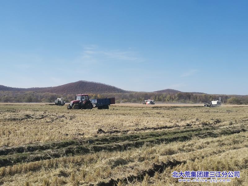 三江直收1.jpg