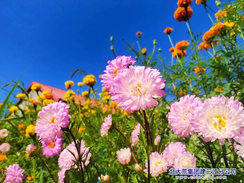 IMG_20250812_090546_副本.jpg
