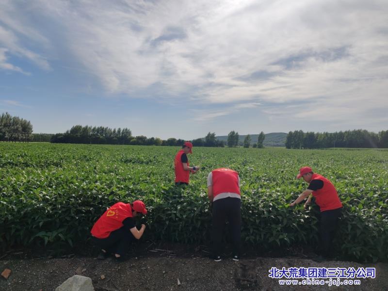 白露主题党日照片.jpg
