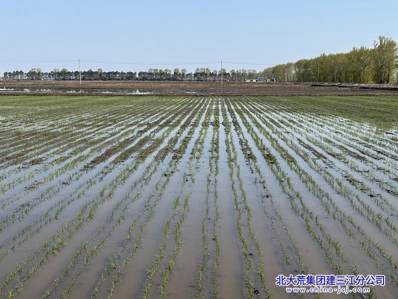 QQ圖片20230512085616.jpg