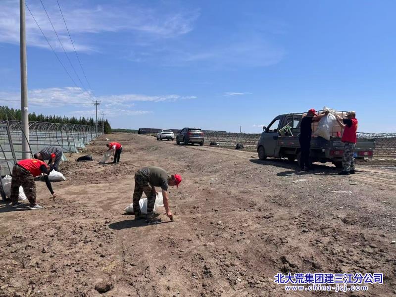 第二管理区农业环境治理_副本.jpg