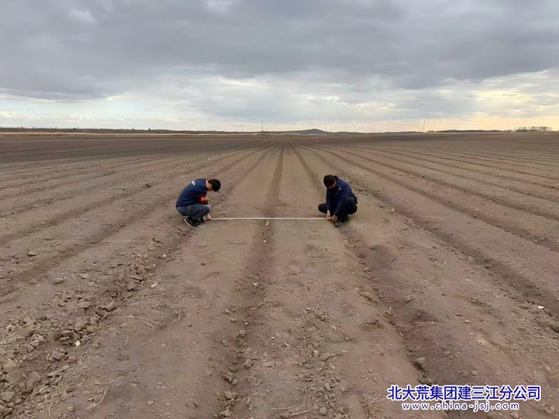 青龙山秋起垄(1).jpg