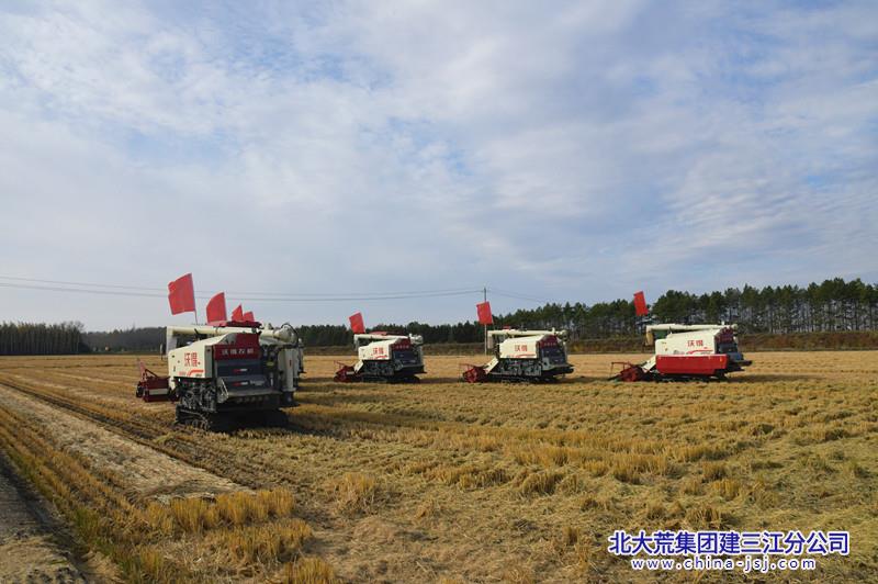 DSC_3849_副本.jpg