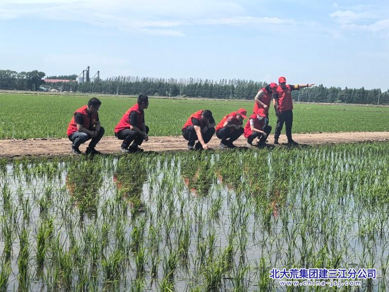 微信图片_20260612075520_182_17.jpg