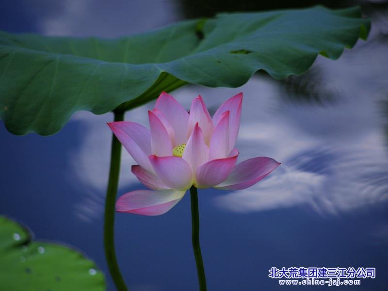 IMG_20250811_085702_副本.jpg