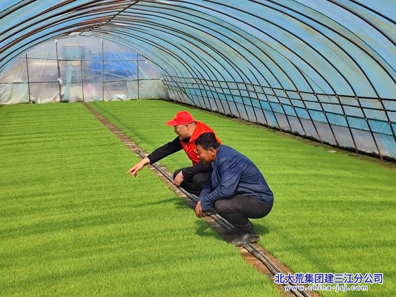 mmexport1745388707993.jpg mmexport1745388707993.jpg