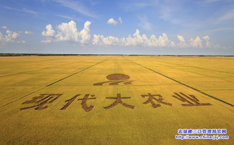 北大荒现代化大农业--王毅.jpg