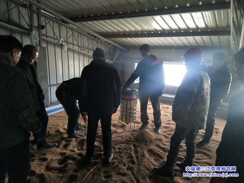 二道河农场进行政策性粮食库存数量和质量大清