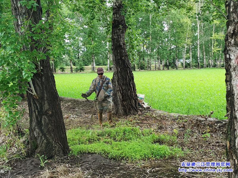 水稻地边打草.jpg