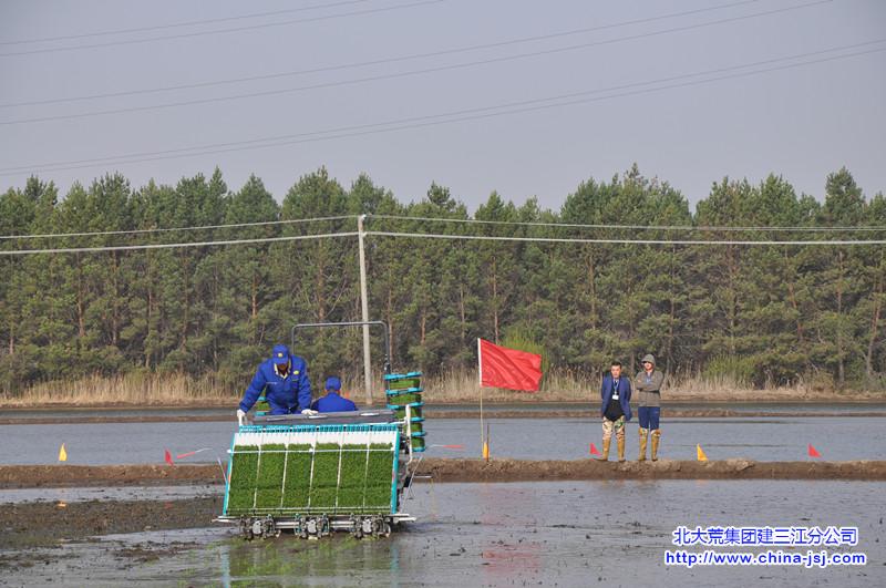 DSC_1746_副本.jpg