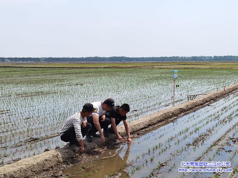 七星农场.jpg