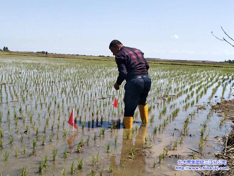 QQ图片20190527135143_副本.jpg
