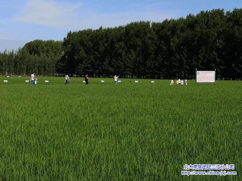 夏耘.jpg