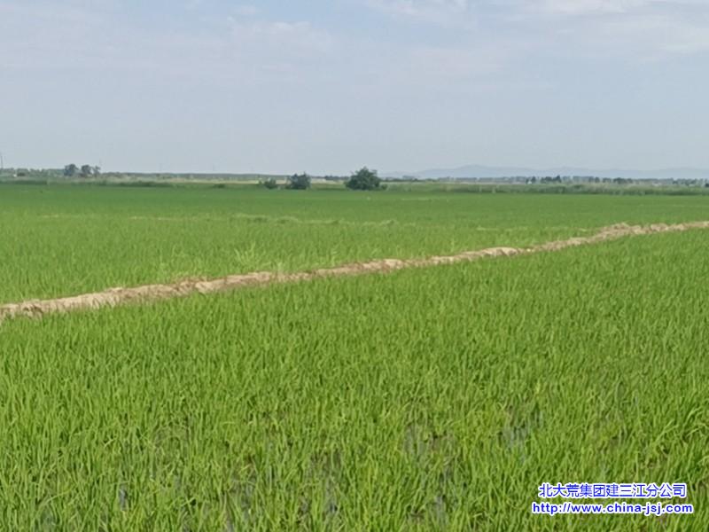 cdf01664c0ff586e9d1e1d97e5e1f27_副本800.jpg